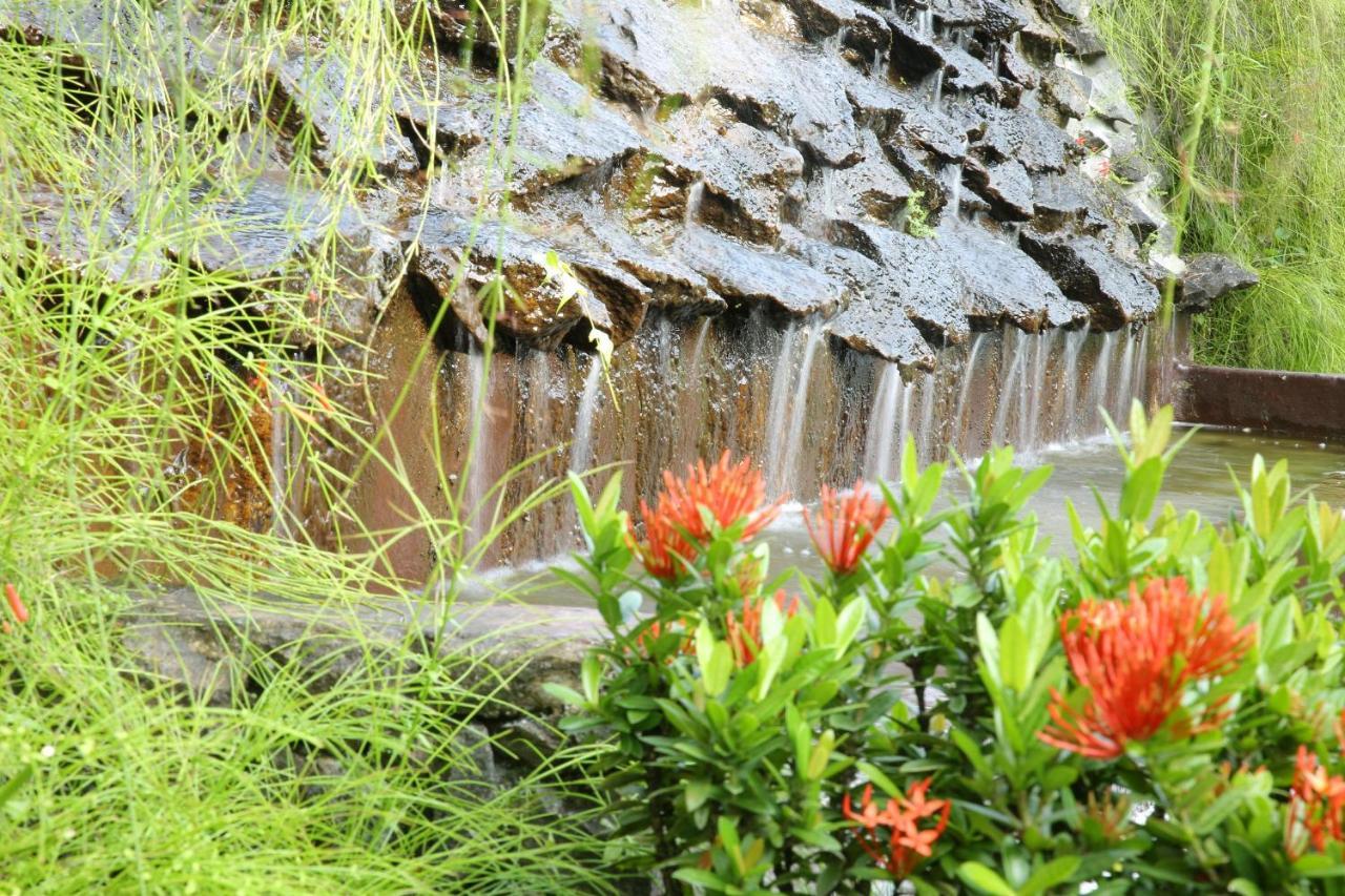 Ayurveda Centrum Lawrence Hill Paradise Hikkaduwa Zewnętrze zdjęcie
